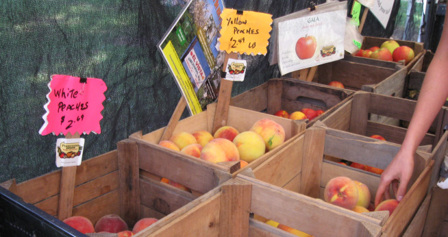 Farmers Market